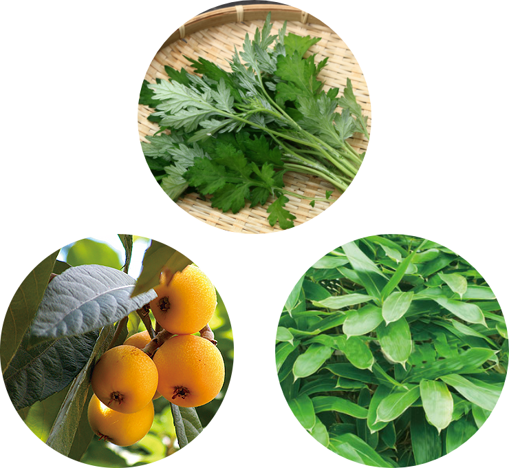 ビワ葉エキス、ヨモギ葉エキス、クマザサ葉エキス